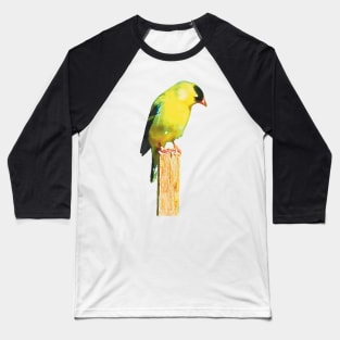 Goldfinch in the Garden Baseball T-Shirt